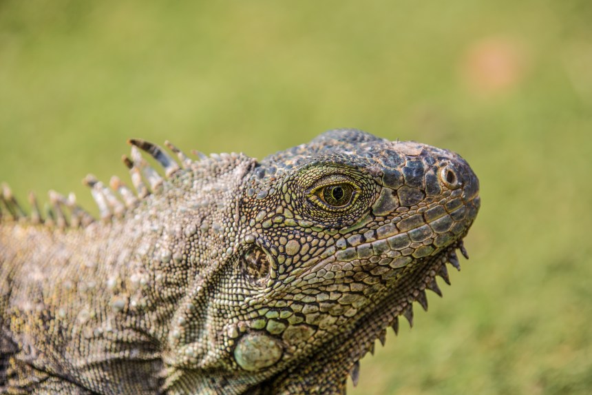 This is original image size.